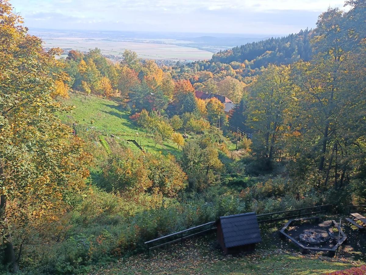 Villa Hubertus Srebrna Góra Exterior foto